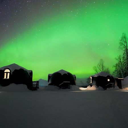 Talkeetna Aerie Adventure Lodge エクステリア 写真