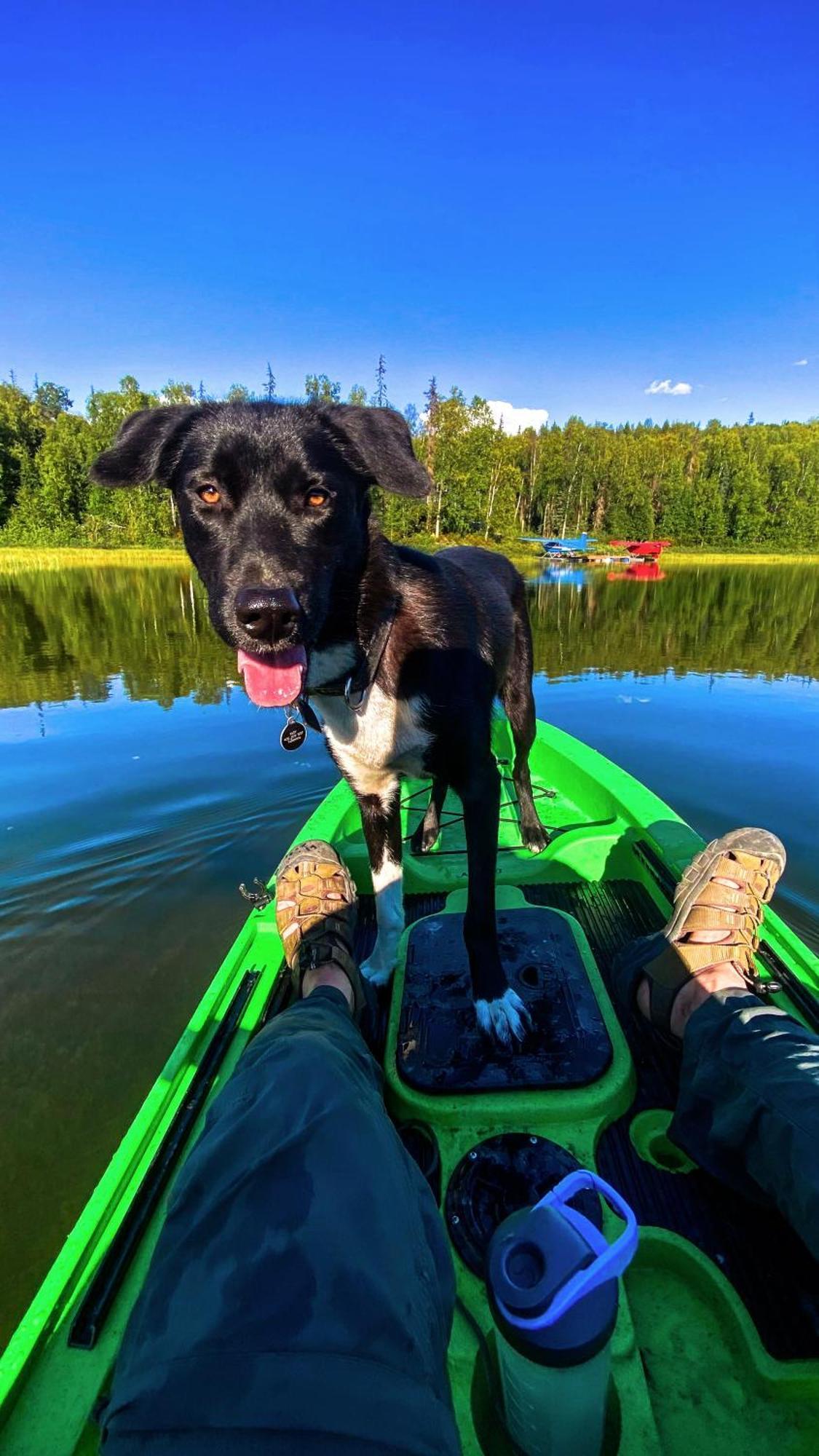 Talkeetna Aerie Adventure Lodge エクステリア 写真